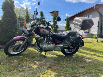Yamaha Virago xv 250 rok 1995 - 10