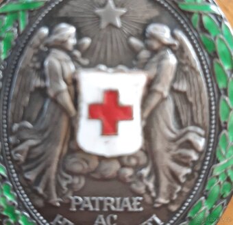 Ag medaile Červený kříž FJI, Rakousko Uhersko - 10