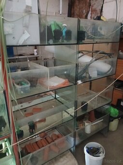 Akvarijni odchovna - 10