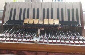 Akordeon - 10
