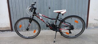 Superior Paint 24" - 10