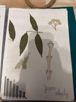 Herbář - 10