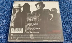 CD Red Hot Chili Peppers - Greatest Hits - 10