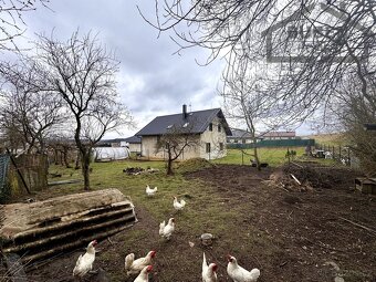 Bytová jednotka v RD s kolnou, skleníkem a zahradou 720 m2 - 10