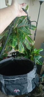 Koš,přepravka,taška na kolo - 10