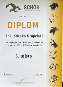 Koza "Česká bílá krátkosrstá". - 10