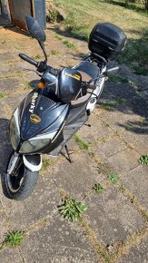 Kentoya Sharky 125 - 10