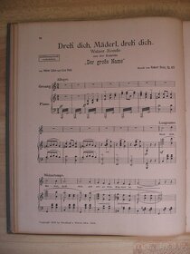 Musikalische Edelsteine noty na piano, z roku 1915 - 10