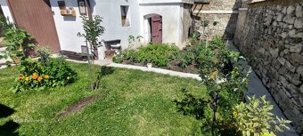 Pronajmu přízemí rodinného domu s vlastním vchodem - 10