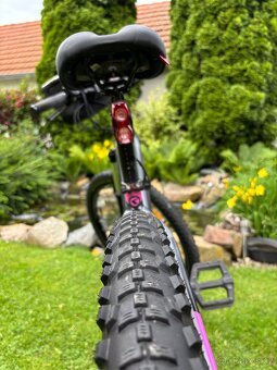 Kellys Tygon, Tayen- r10 2020 - 10
