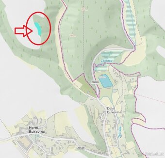 Prodej lesního pozemku v k.ú. Horní Bukovina - 10