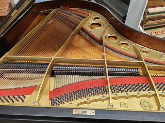 C.Bechstein model A - 10