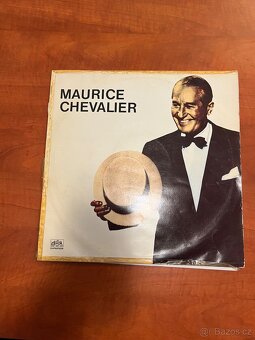 Sbírka LP Desek - 10