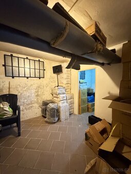 Prodej obchodních prostor - 10