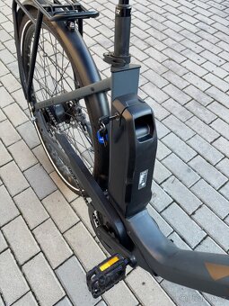 Elektrokolo RAYMON CityRay E 6.0 FW Darkgrey / Bronze Matt - 10