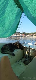 🛥️ Plachetnice Ariel – stabilní německá klasika s přívěsem - 10