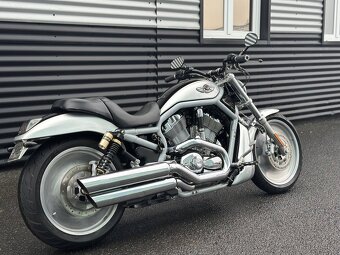 H-D V-ROD 2003 - 10