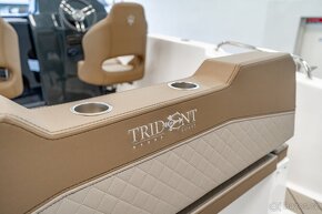 TRIDENT 640 SUNDECK - 10