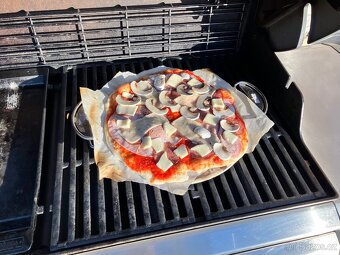 Gril Weber Genesis II E-310 GBS - 10