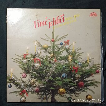 VINYLY LP - ČESKÁ MUZIKA RŮZNÉ ŽÁNRY - 10