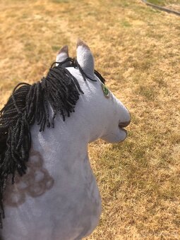 Hobby horse šedý grošák - 10