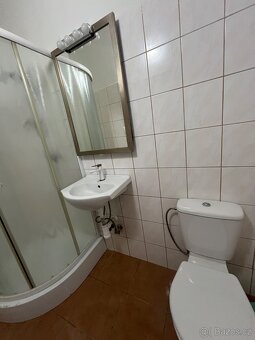 Pronájem komerčního prostoru v centru Strakonic - 10