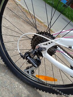 Kolo CYGNUS Dirt Pro - 10