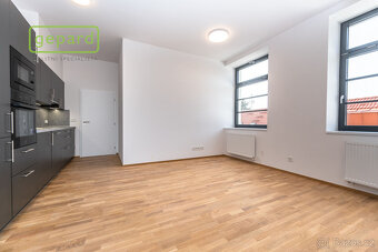 Prodej bytu 4+kk, 95m2 s terasou 58m2, parkovací stání v pro - 10
