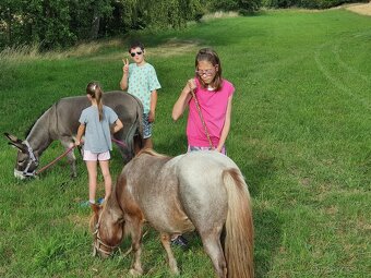 Letní stanový koňský tábor s Hobby horse tématikou - 10