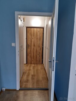 Pronájem bytu 1+kk - 10