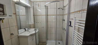 Pronájem bytu 3+1, 72m2, sklepní kóje a garážové stání - 10