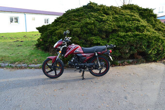 Motorka Champ 50 od 15 let - 10