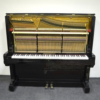 Koncertní pianino C.BECHSTEIN + židlička. ZÁRUKA. - 10
