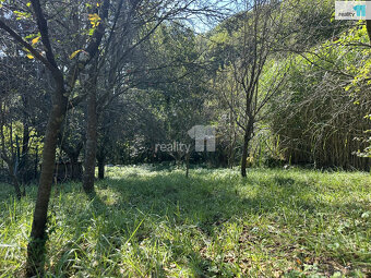 Chata 18 m2, s pozemkem 488 m2, Březnice - 10