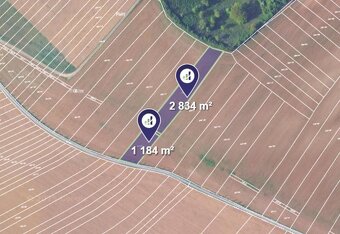 Prodej podílu 1/2 lesa 9 147 m², Ořechov - 10