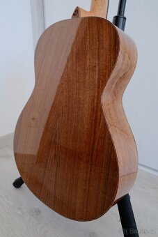 Dowina Master Series Walnut Selection DLX OMG - 10