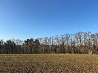 Prodám lesní pozemky v k.ú. Radouň - 10