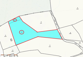 Prodej pozemku 5776 m2 v Borové u Poličky, okr. Svitavy - 10