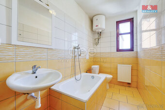Pronájem bytu 1+kk, 26 m², Město Touškov, ul. U Špejcharu - 10