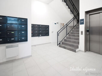 Pronájem bytu 1+kk, Reissigova, Ponava, 15500 Kč/měs, 35 m2 - 10