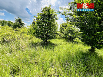 Prodej pozemku, 1026 m², Veselí nad Moravou - 10