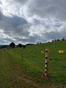 plot, ohrada, oplocení - 10