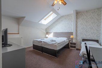 Hotel ve Svobodě nad Úpou - 10