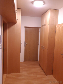 Pronájem bytu 3+kk, Zahradní, Rousínov – 74 m2 - 10