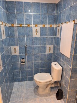 Pronájem bytu 1+kk (35 m2 ) Frenštát p. R. - 10
