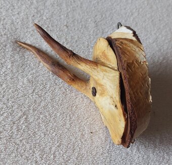 parohy a parůžky - 10