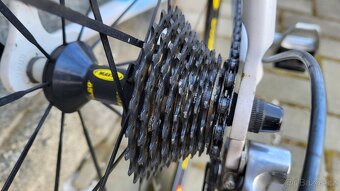 COLNAGO - 10