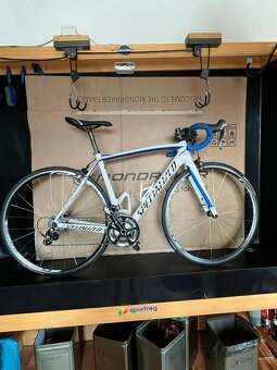 Prodám kolo Specialized Tarmac velikost M - 10