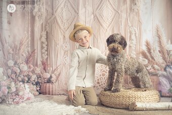 Lagotto Romagnolo s PP - 10