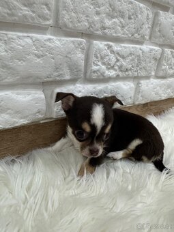 Miničivava-rezervace - 10